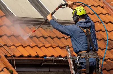 Démoussage et hydrofuge de toiture à Granieu